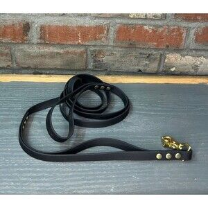 Biothane Standard Dog Leash w/Traffic Handle 5/8" wide Brass Trigger Snap 7' USA